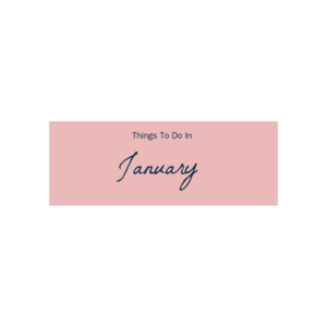 Things to do in london in january